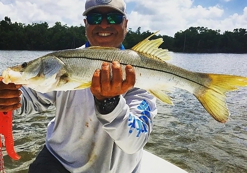 Florida Fishing for Snook