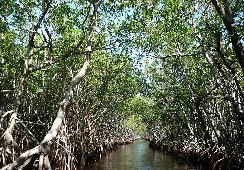 Florida's beautiful back country