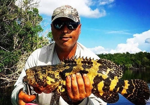 Reeled a Grouper from The Everglades