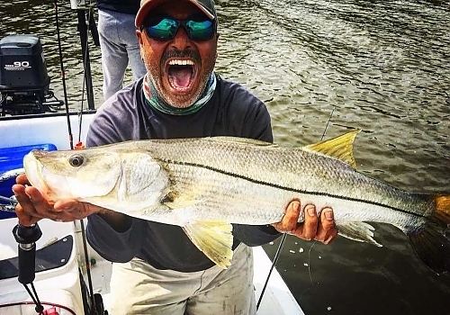 Snook Fishing Miami