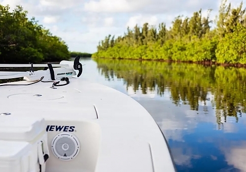 What a beauty - Fishing The Everglades FL